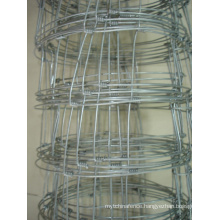 Electro Galvanized Knotted Wire Mesh Field Fence (anjia-522)